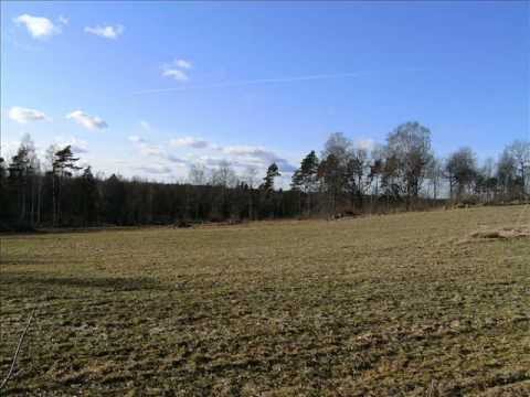 Lammhult   -  Sverige/Sweden