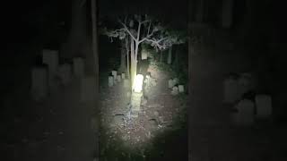 【LIVE】心霊生配信リアル肝試し·茨城県阿見町未公開心霊スポット３選『首◯り山』『小池城跡地』『お姫様の墓』
