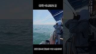 참돔 잡으러 갔는데 이게 나온다고? #fishing