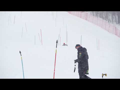 190118 Pico SL R2 BT