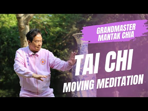 The Inner Alchemy of Tai Chi Qigong with Tao Grandmaster Mantak Chia. Energy cultivation practice.