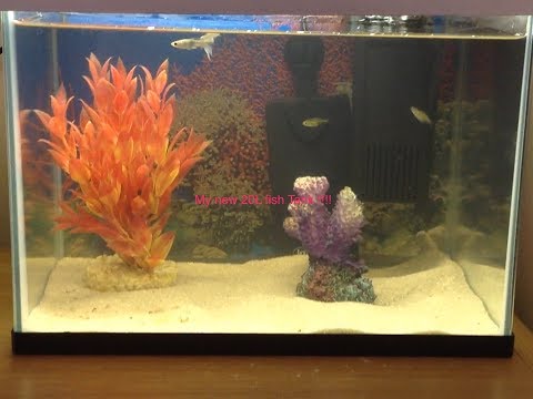 New 20L Tank