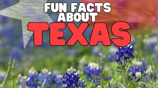 Fun Facts about Texas | Learn interesting facts about the Lone Star State