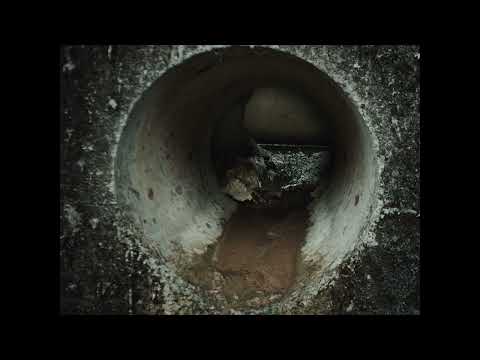 【南國幻夢】《河的孩子子子子子》｜2024 高雄電影節