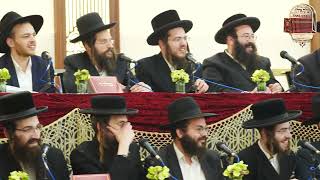 Gedolei Torah Engage in Pilpul-Farher with Shas Yiden | גדולי התורה בפלפולא דאורייתא עם ש"ס איד'ן