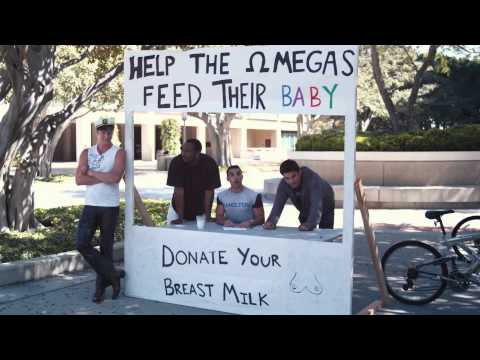 afbeelding Newest Pledge, The