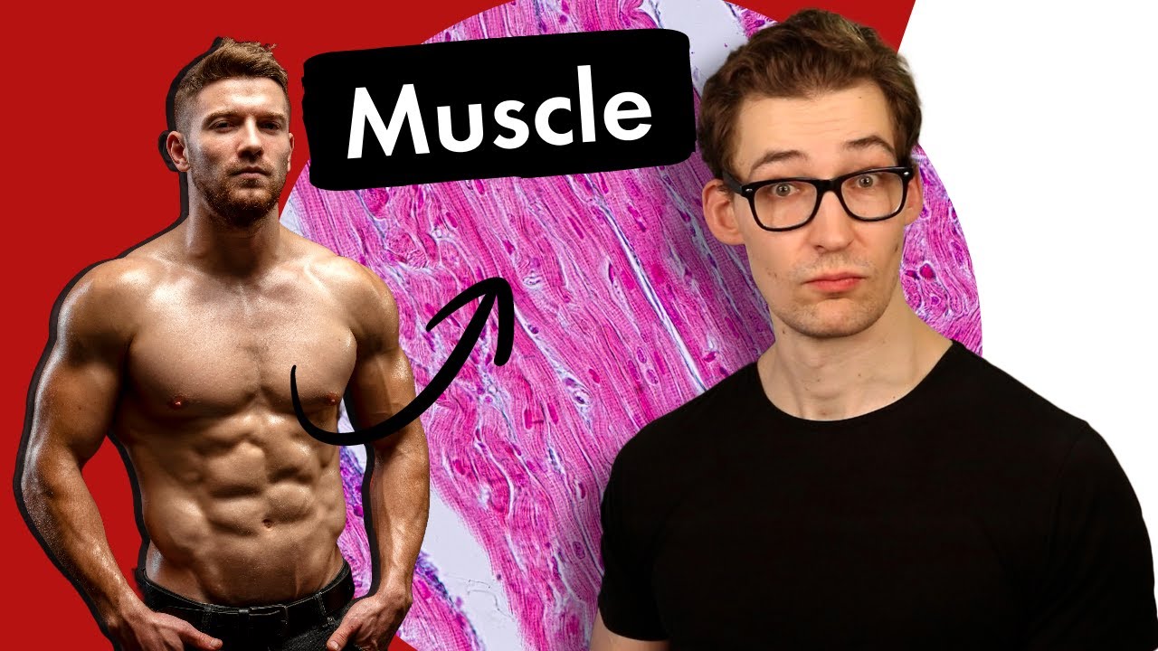 Eating to Gain Muscle, Minimize Fat Gain, and Reduce Oxidative Damage