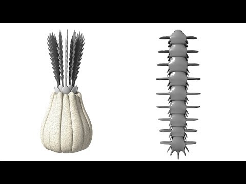 Alien Biospheres: Part 2 - Early life and Body Plans