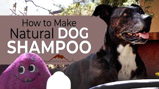 How to Make Natural Dog Shampoo