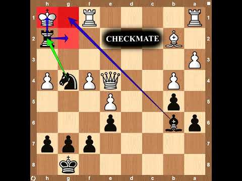 Rubinstein's Immortal Game  👀