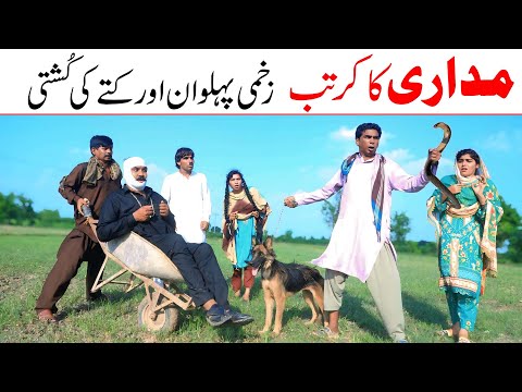 movie 2025 || Ramzi,Noori, Bilo ,Bhootna,Shoki, Sanam, Falak Sher,Funny Video  Rachnavi Tv