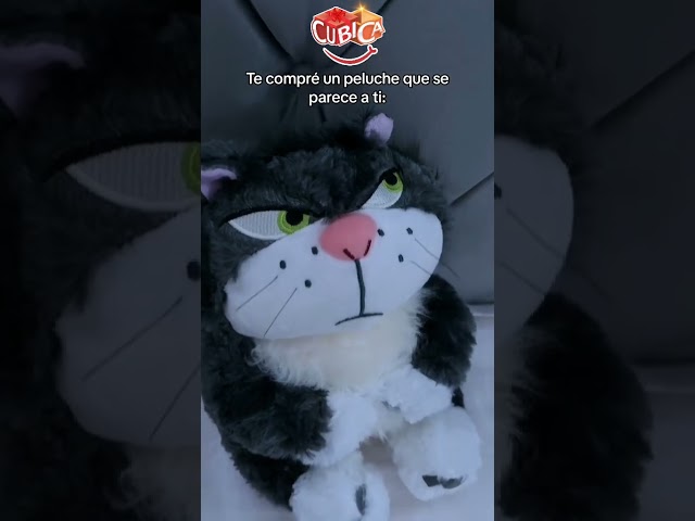 Vídeo relacionado con Peluche de Gato Lucifer de 30 a 80 cm, Suave y Acogedor para niños y Adolescentes, muñeco Lavable, compañero de Peluche para niños y niñas para Navidad y cumpleaños,Grey-30cm