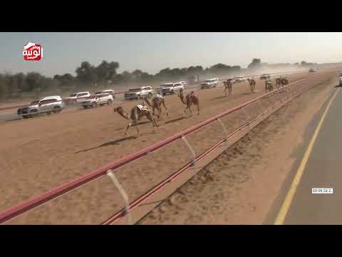  ش 7 (رياف) لـ سالم سعيد محمد المسافري 13:02 ، شارة الديوان 2026/2/21 ثنايا السوان