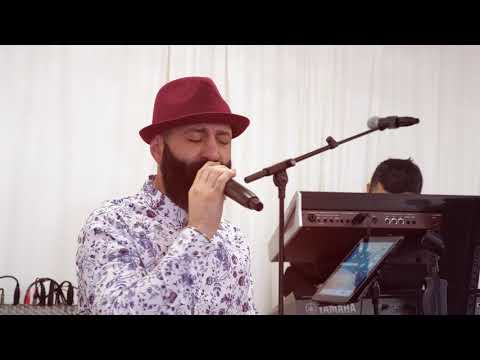 Grup Alturka Danimarka