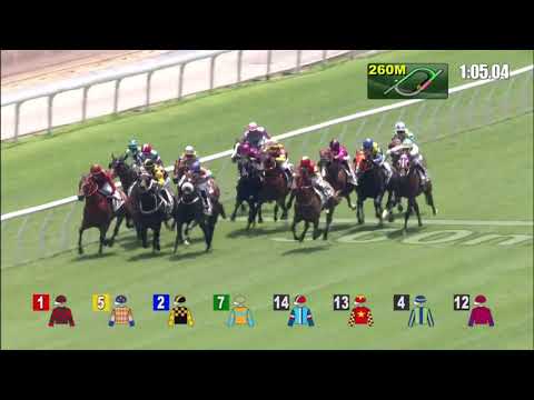 11/4/2021 (576) Galaxy Emperor- Jerry Chau