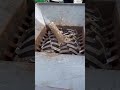 Industrial shredder machine for testing shredding tree root