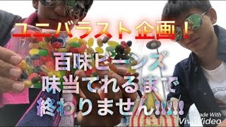 【SALT＆SUGAR】皆さん、百味ビーンズは買うべきものではありませんww