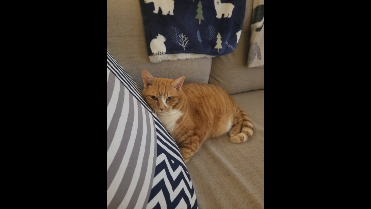 明けましておめでとうございます。