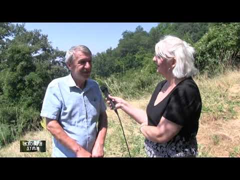 ISKONSKI DUMI KIRIL MANCEVSKI