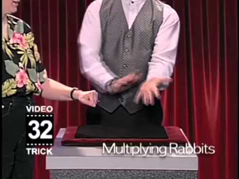 Houdini Magic Multiplying Rabbits