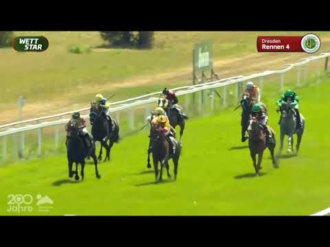 Galopprennbahn Dresden - 07.08.2022 - 4.Rennen
