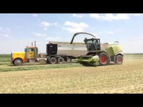 2014 claas jaguar 980
