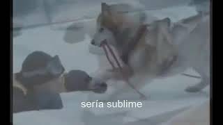 Scott Stapp Sublime subtitulado español