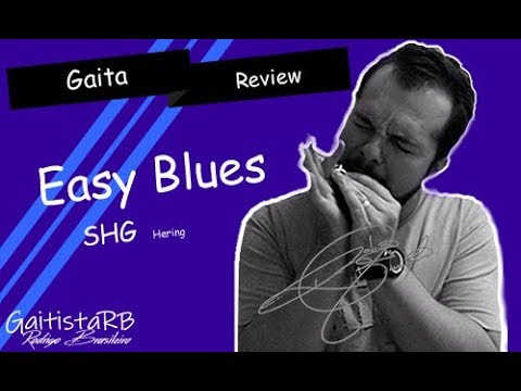 Gaita Hering Diatonica Easy Blues C Dó Cromada 4420C Com Case