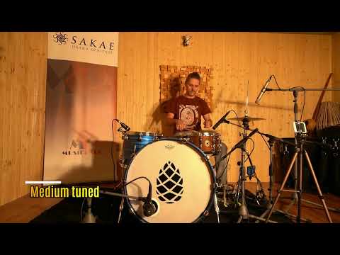 Sakae Osaka Heritage Walnut 1465 (2022)