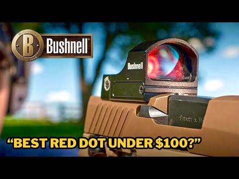Bushnell RXS 100 Review | Best Red Dot Under $100?