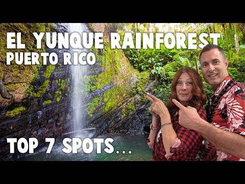TOP 7 Spots you CANT MISS at El Yunque Rainforest | Puerto Rico #emptynester #travel #puertorico