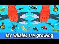 [EN] My whales are growing, sea animals animation, whales and insects names for childrenㅣCoCosToy