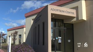 Animal shelters in Santa Barbara Co. see surge of pets