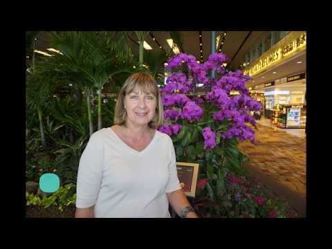 Thumbnail for Diamond Princess 2015