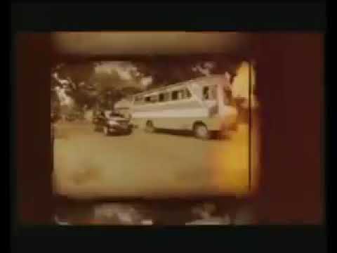 Musisi jalanan feat gigi - ikan laut