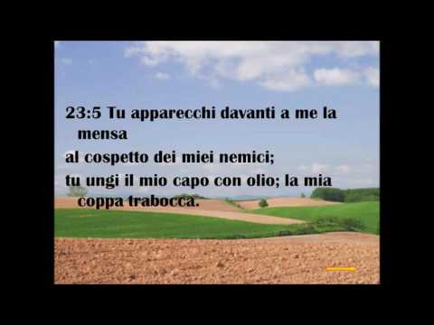 Salmo 23 (L'Eterno, il pastore del Salmista).