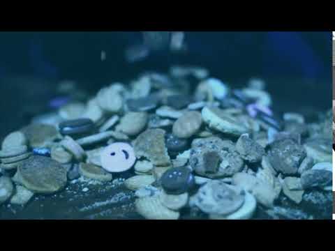 GALLETAS   Subidor X  Big Soto  Trainer mp4