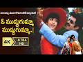O Muddugumma Muddu Gumma Song 4K NBK Balayya Meena Superb Duet Muddula Mogudu Old Telugu Songs