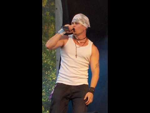 Leijona - Pelkoa Ja Inhoa Porttikongeissa