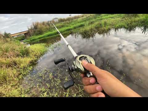 Viajando pelo ES3 Mucurici/ES #camping #motovlog #sobrevivência #aventura