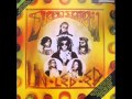 Dread Zeppelin   Stir it up Bob Marley cover