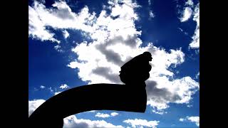 Fatos Çeta - Phonic Bird