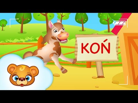 Krople witaminy dla włosów Przyczyny wypadania włosów u pacjentów z cukrzycą