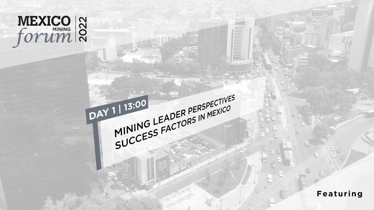 Mining Leaders Perspectives Success Factors in Mexico Panel
