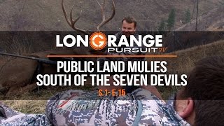 Long Range Pursuit | S1 E15 Public Land Mulies South of the Seven Devils