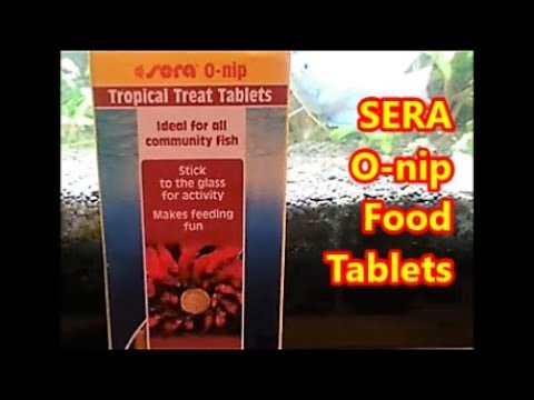 Feeding Tropical Fish - SERA O-nip Tablets : See your Fish Up Close.
