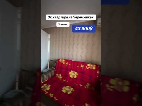 3-комнатная квартира с ремонтом на Черёмушках. Мебель и техника. Зелёный двор