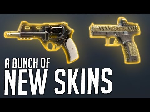 New Skins in Year 5 of Rainbow Six Siege!