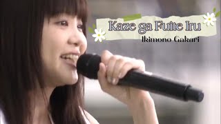 Kaze ga Fuite Iru - Ikimono Gakari Live + English Translations