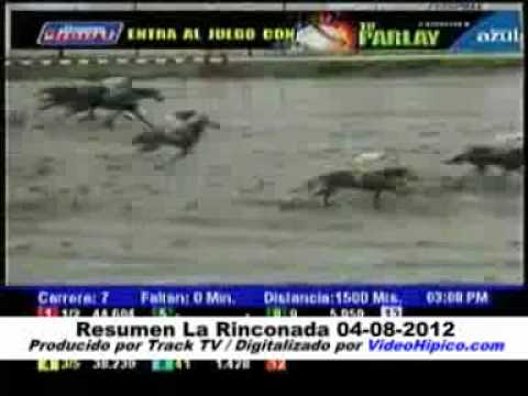 Resumen La Rinconada 04-08-2012